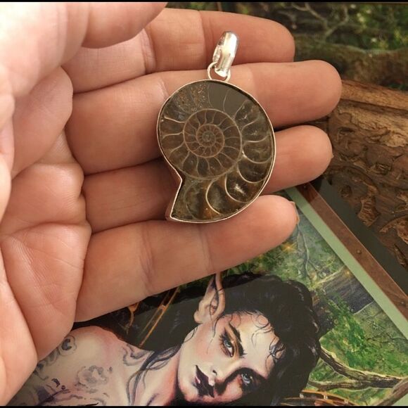 Ammonite Fossil Silver Pendant - Picture 3 of 5